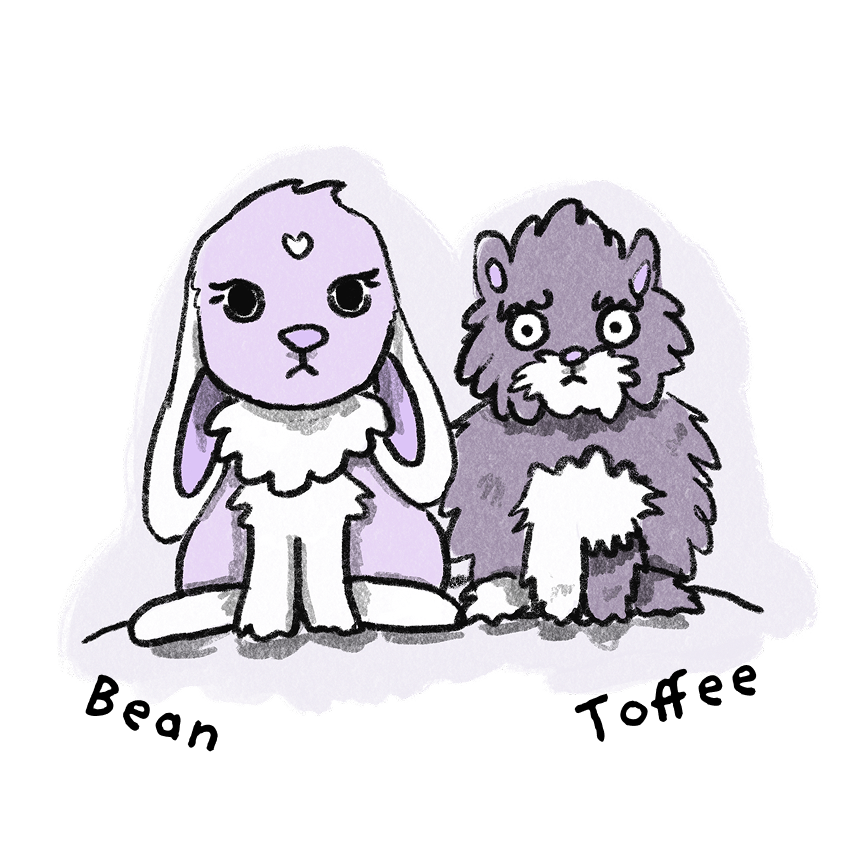 A drawing of Hanna's bunnies